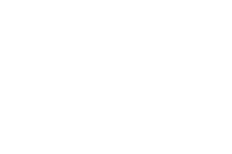 logo blanc Joel olive